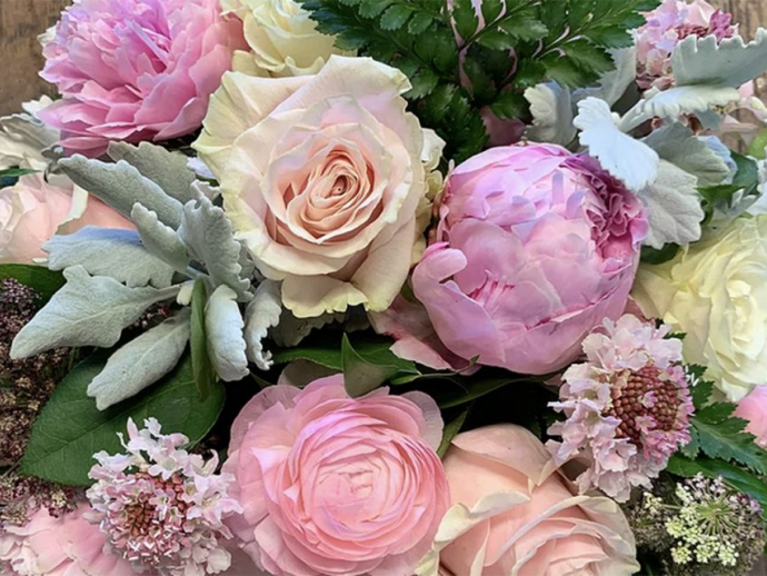 Blooms in Hand, United States, New Jersey, Verona