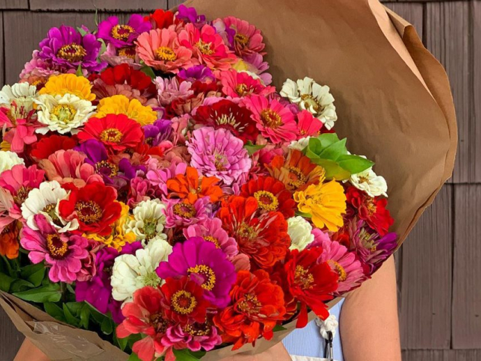 Blooms in Hand, United States, New Jersey, Verona