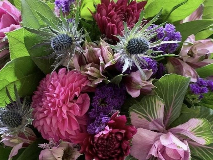 Blooms in Hand, United States, New Jersey, Verona