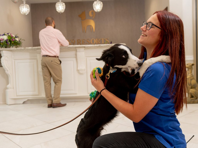 K9 Resorts, United States, New Jersey, Fairfield