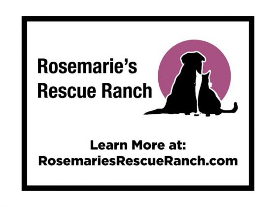 TEAM Rosemarie's Rescue Ranch!